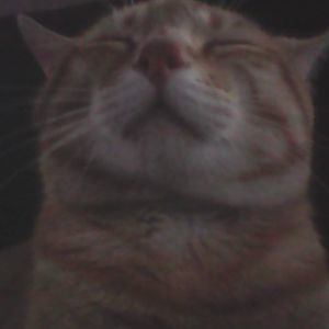 Meet your Posher, Austin